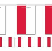 Flagguirlande Polen Lille (inde)